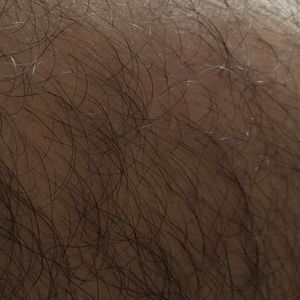 Meet your Posher, Nelson